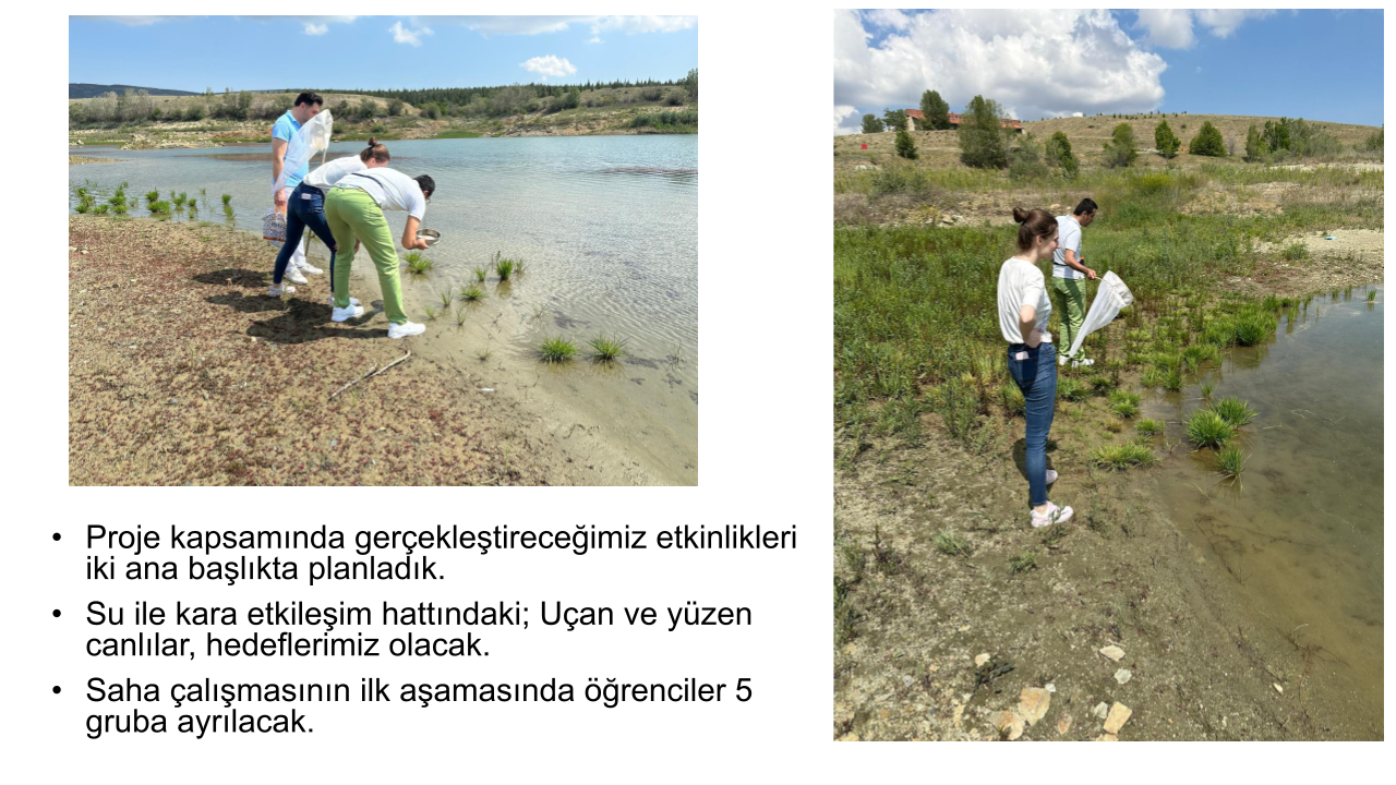 Biyoloji_hazirlik (1)