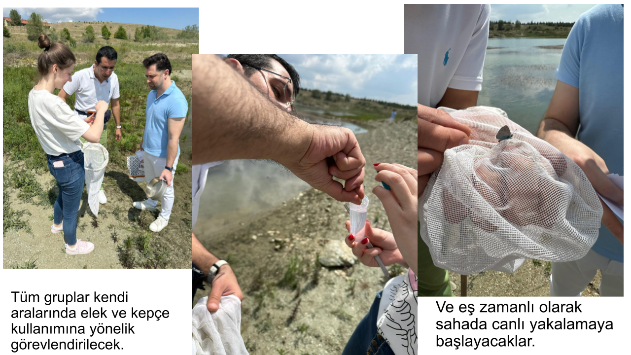 Biyoloji_hazirlik (3)