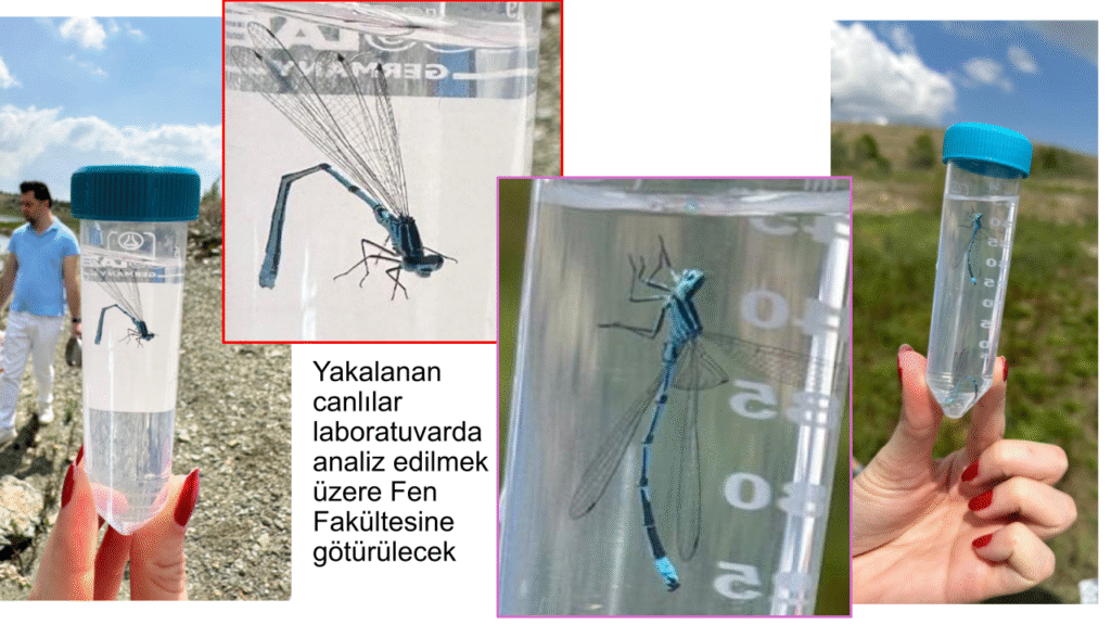 Biyoloji_hazirlik (4)