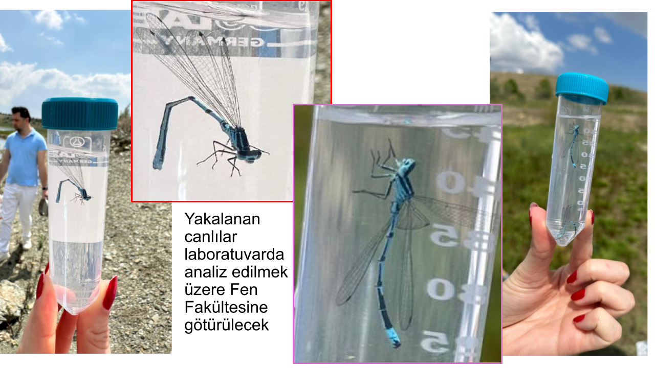 Biyoloji_hazirlik (4)